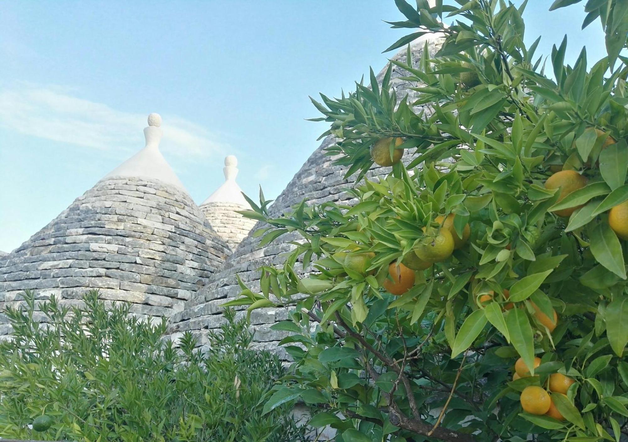 Trulli Sull'Aia San Michele Hotel Monopoli Ngoại thất bức ảnh