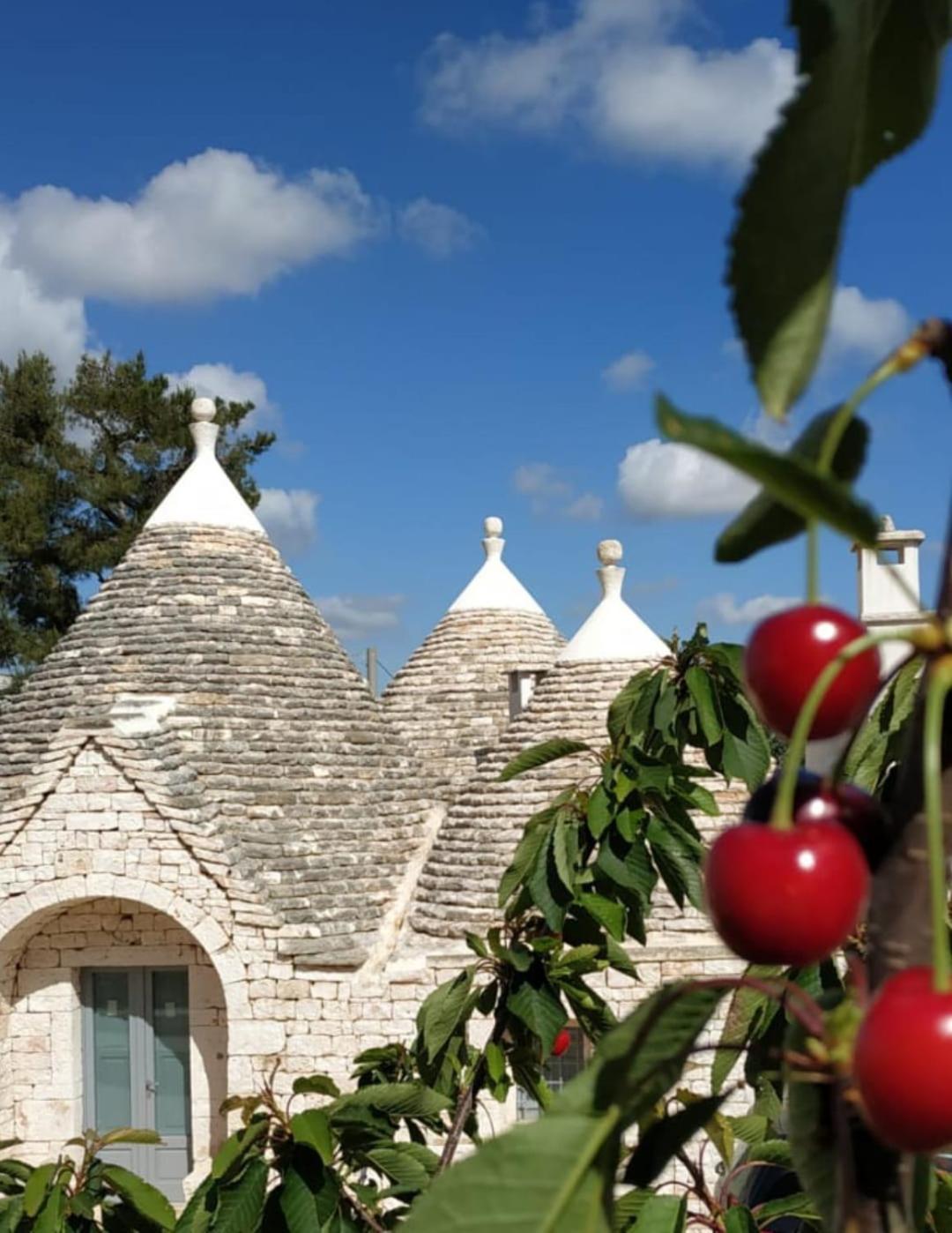 Trulli Sull'Aia San Michele Hotel Monopoli Ngoại thất bức ảnh