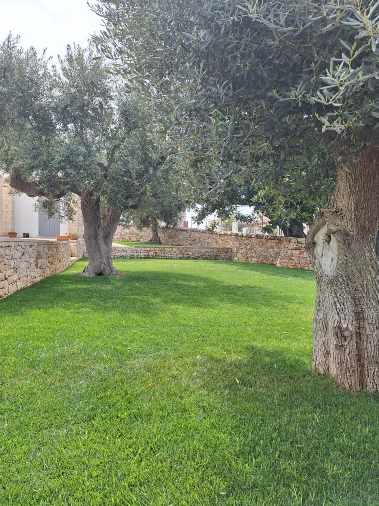 Trulli Sull'Aia San Michele Hotel Monopoli Ngoại thất bức ảnh